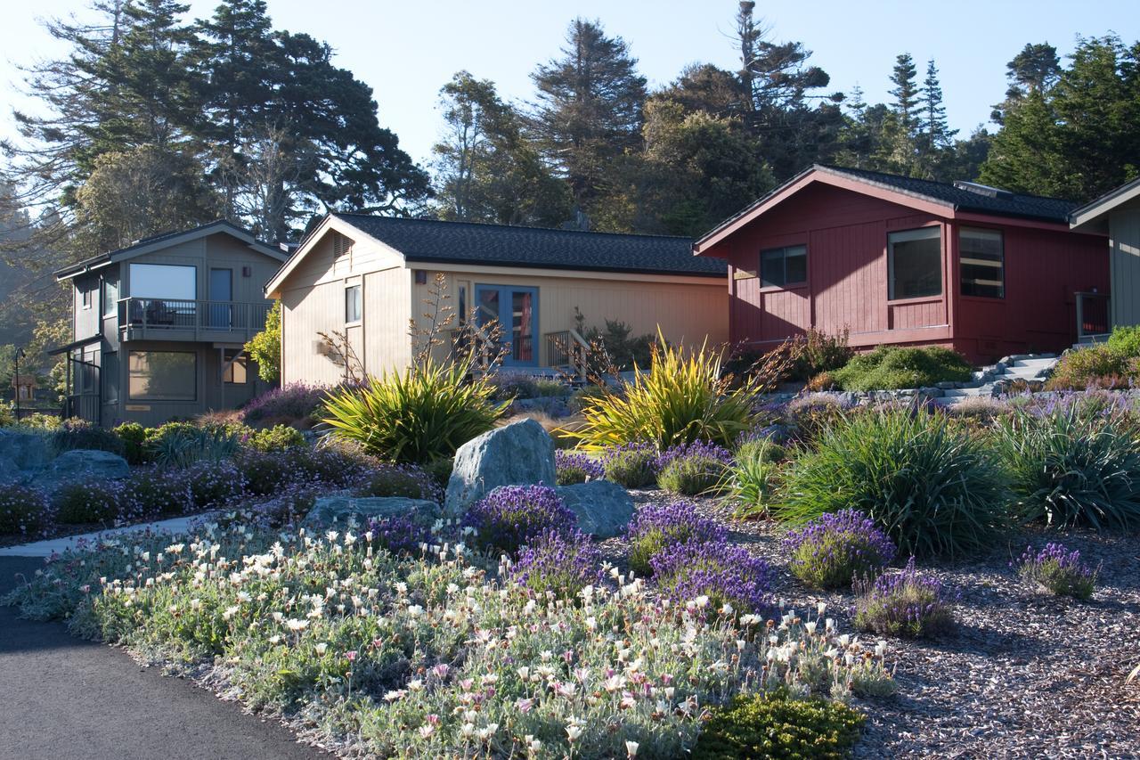 Cottages At Little River Cove Exterior foto