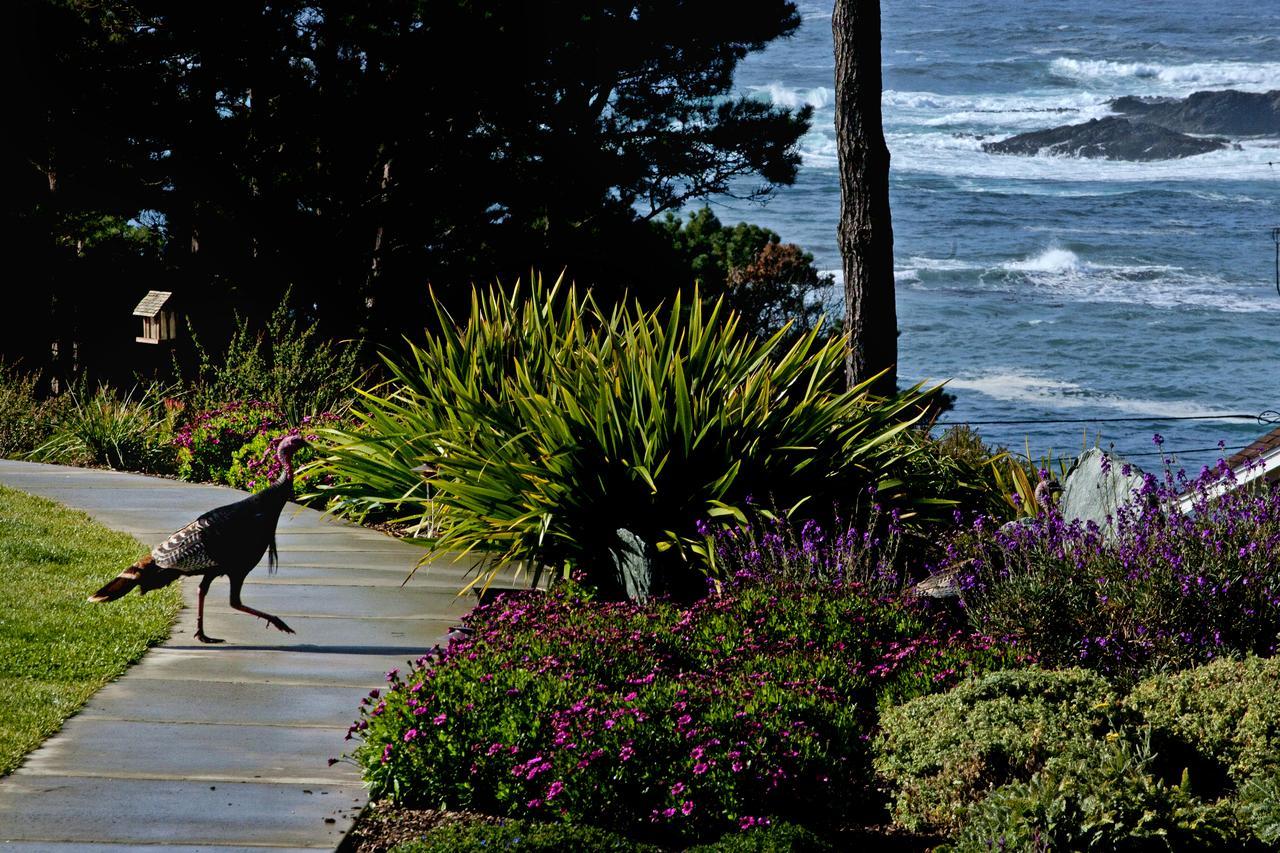 Cottages At Little River Cove Exterior foto